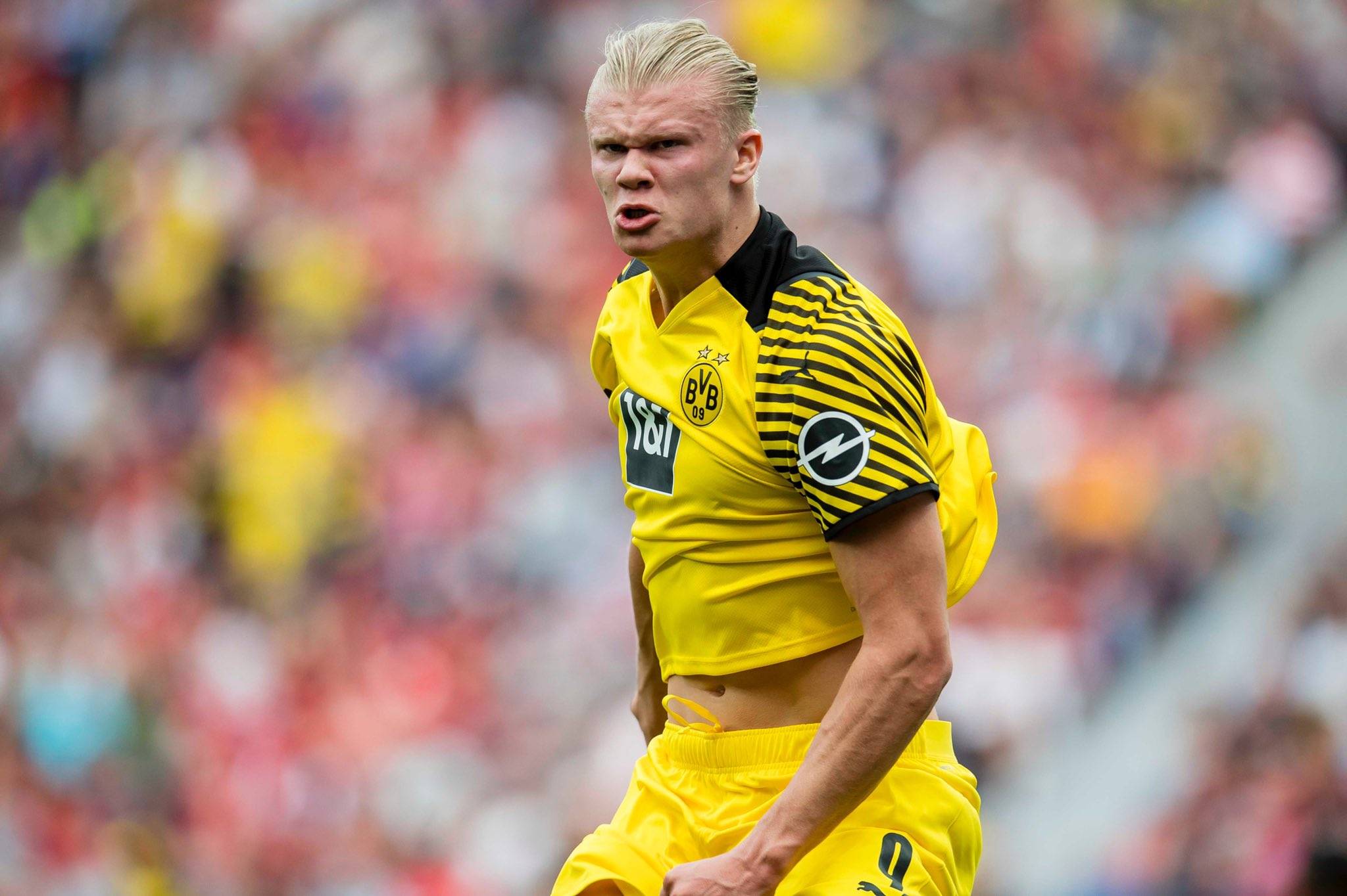 自然融入 自然融入